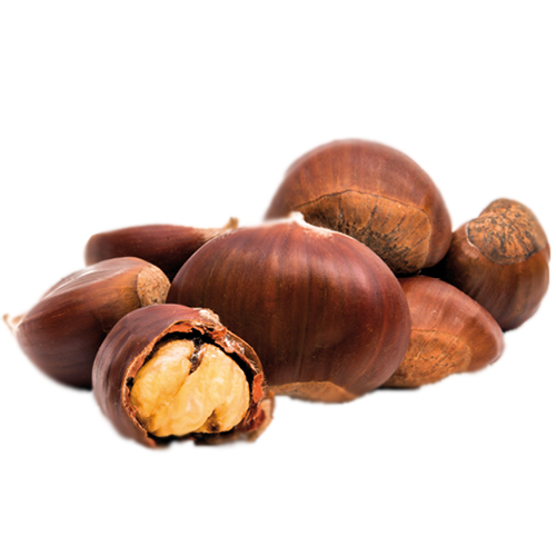 castagne